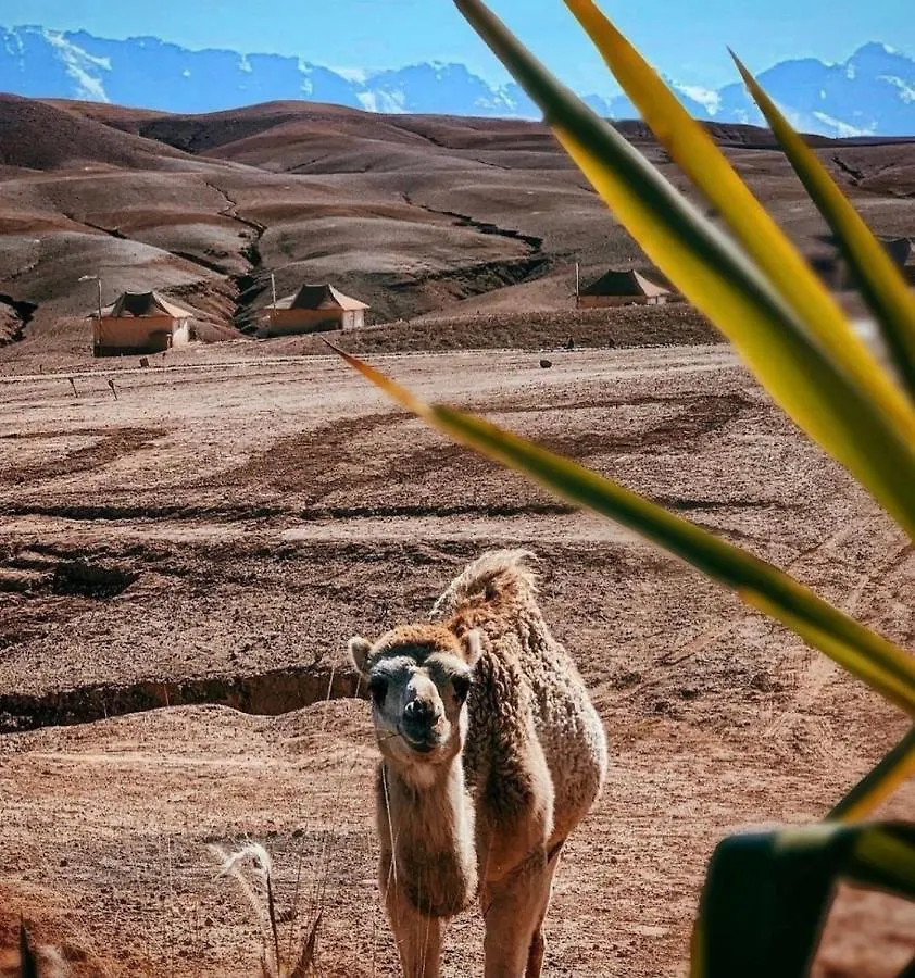 Agafay Luxury Camp Hotel Marrakesh 3*,  Morocco